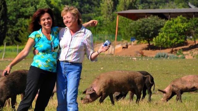 A foodie week in Norcia cannot miss a visit to a local free range pigs farm